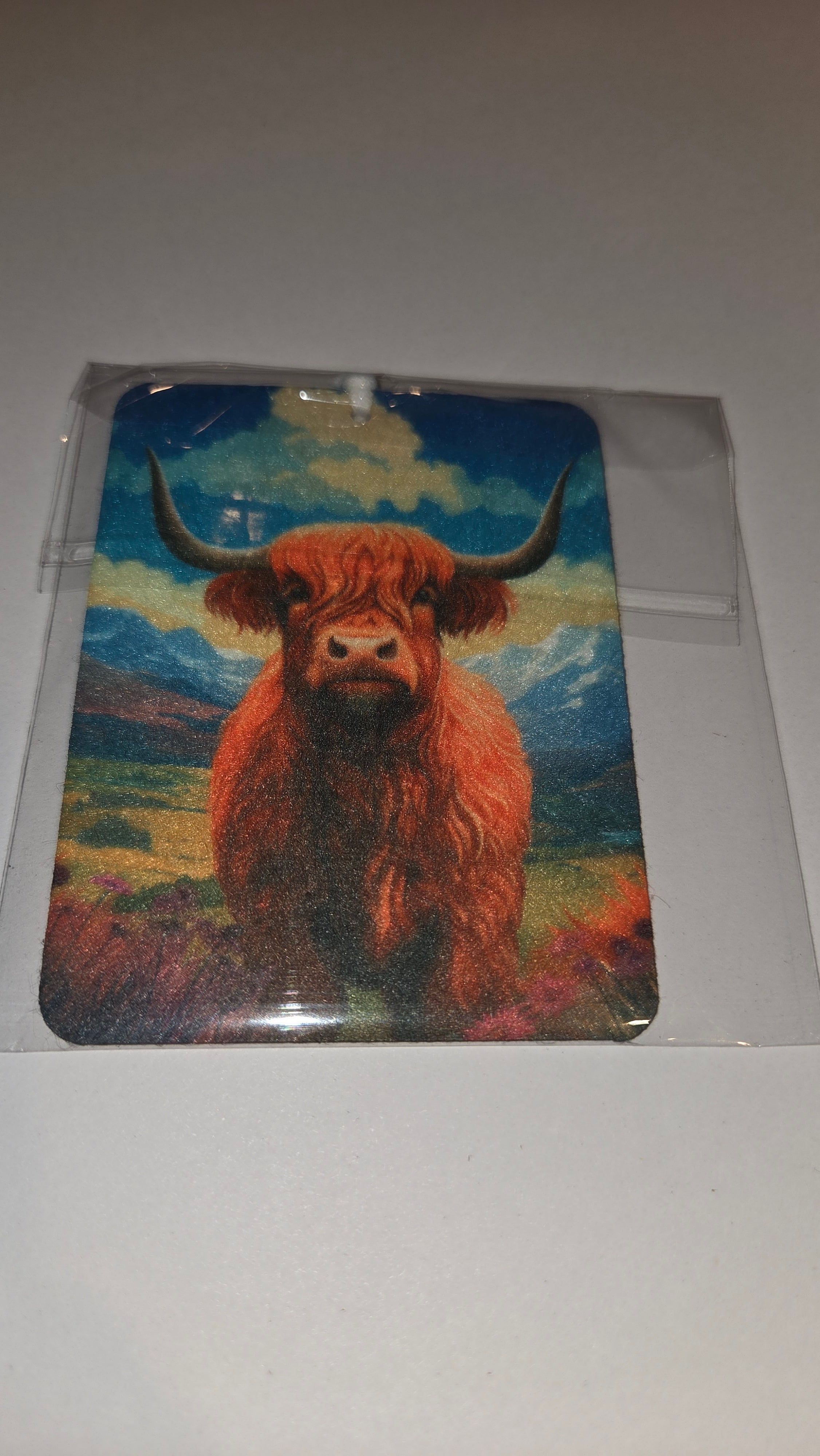 Highland Cow