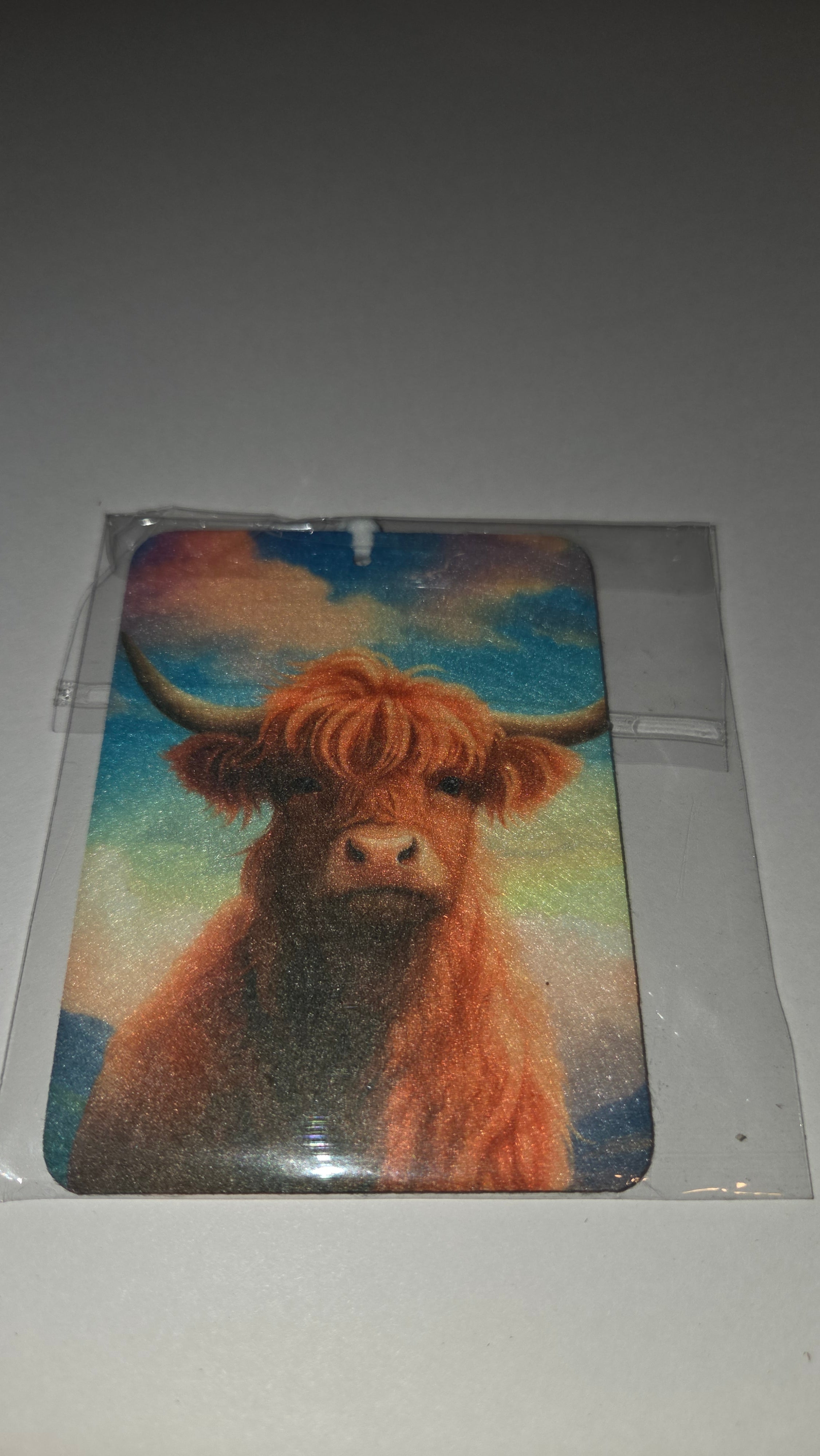Highland cow