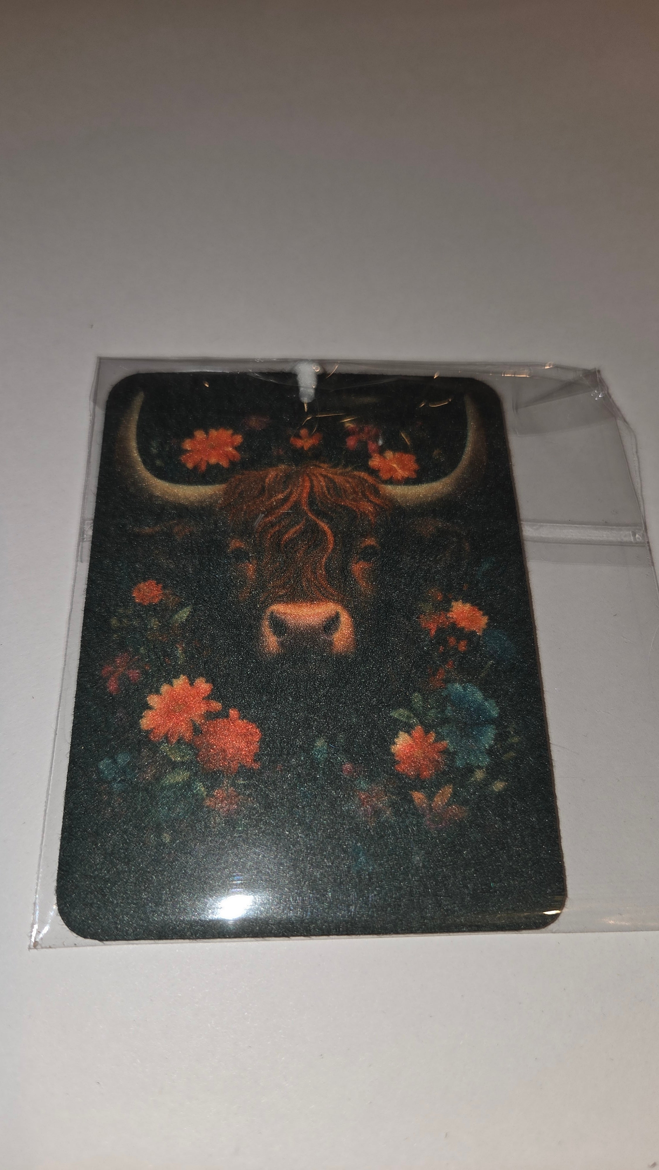 Highland Cow