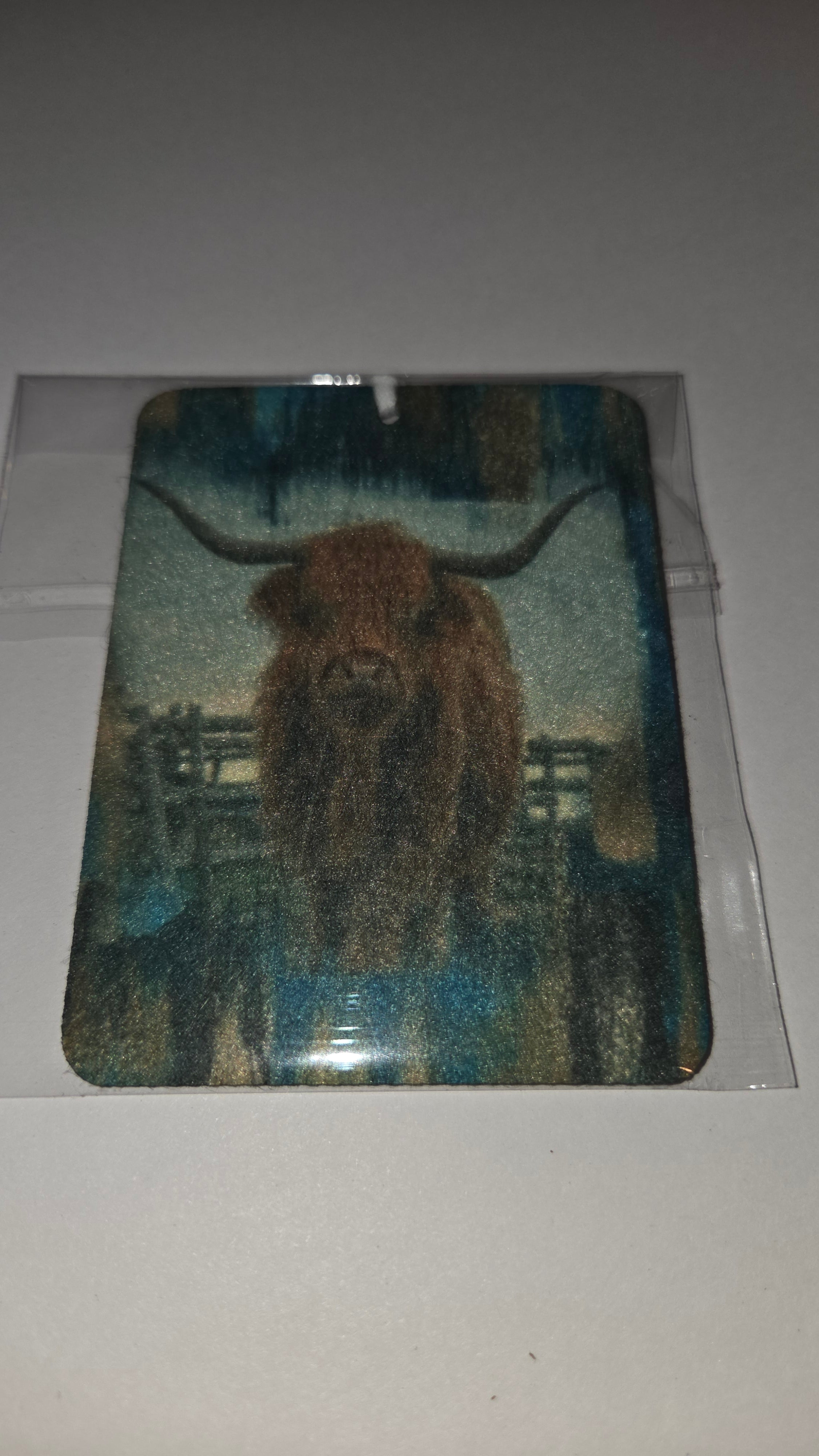 Highland cow