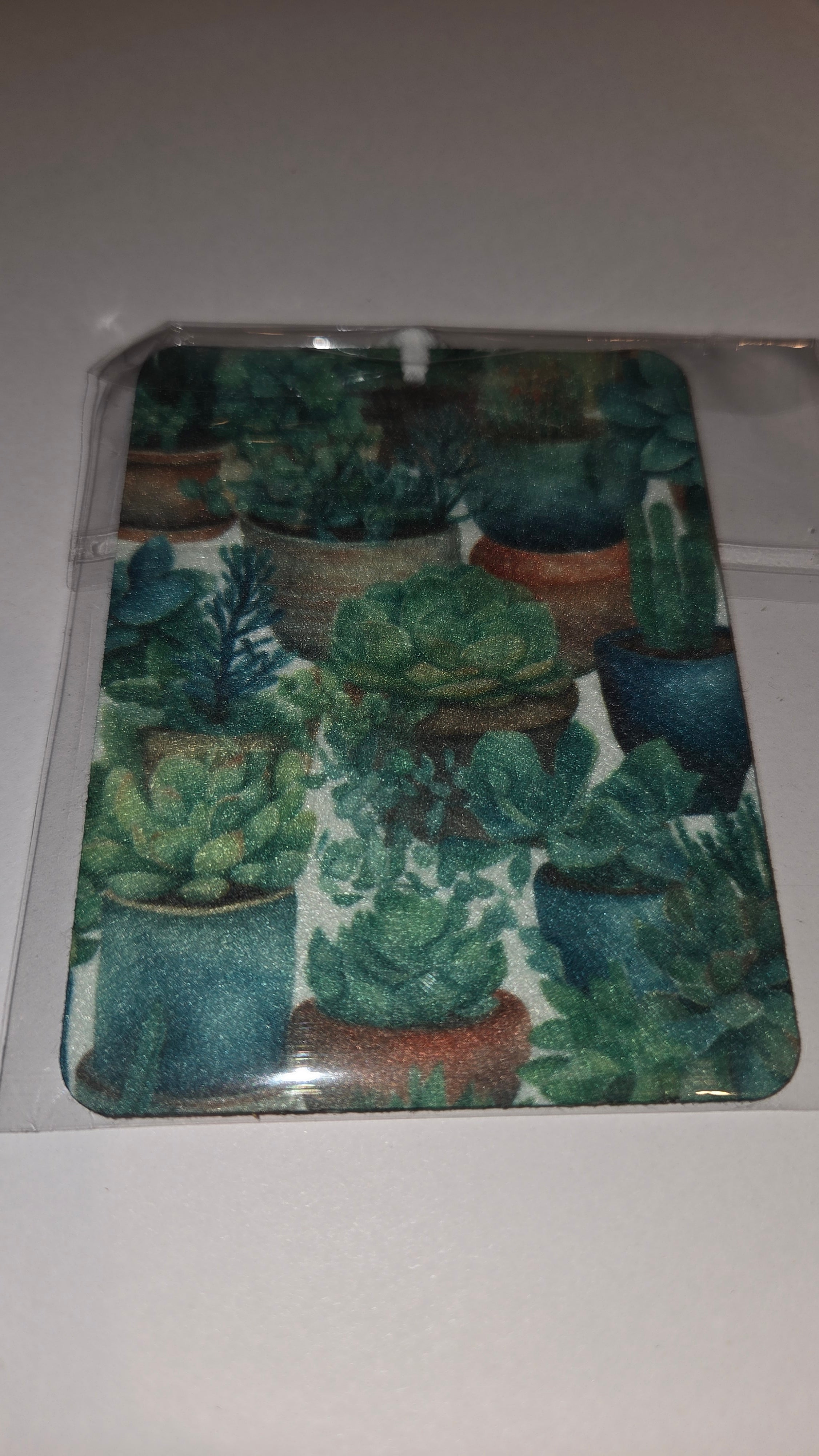 Succulents
