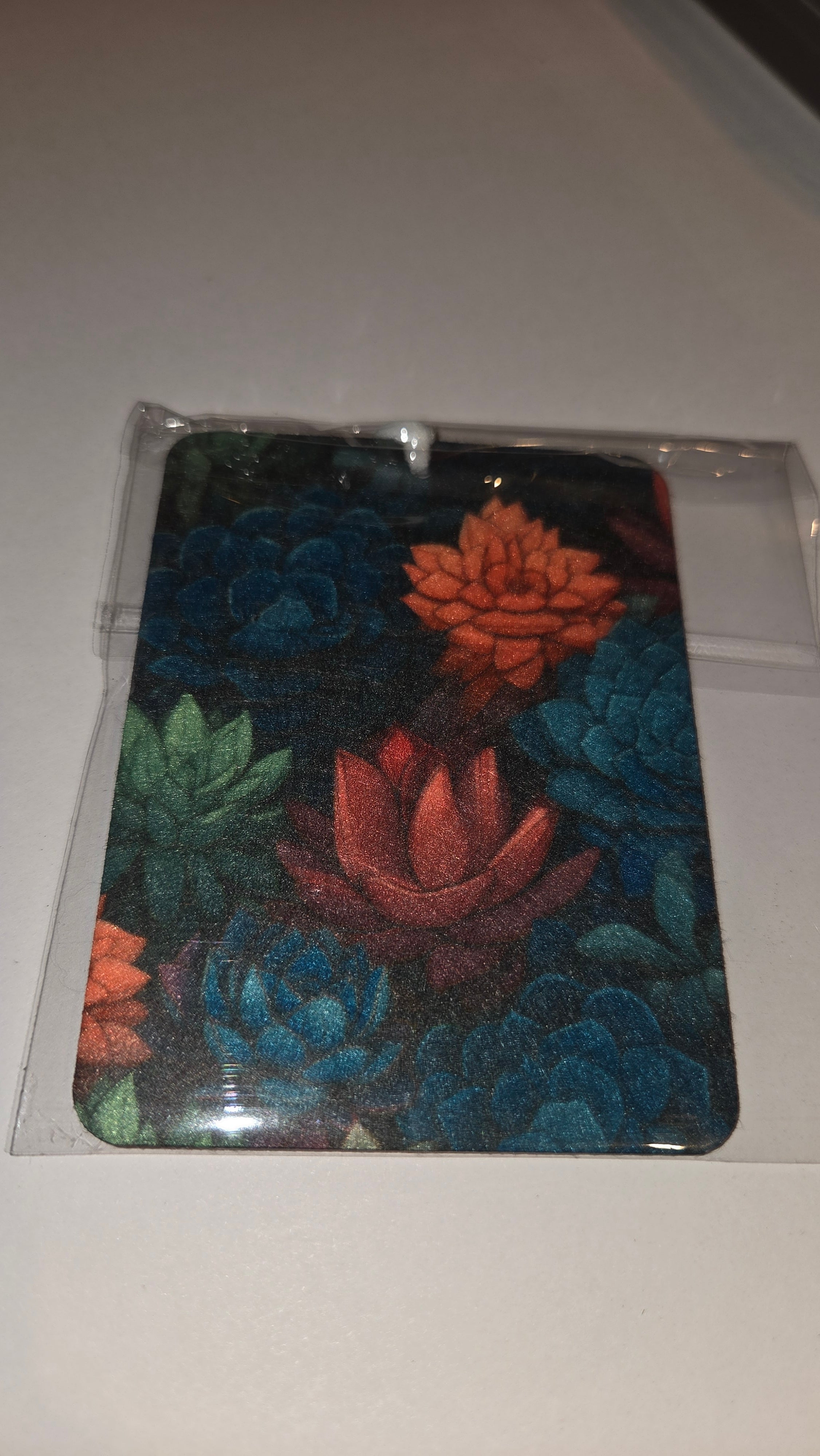 colorful succulents