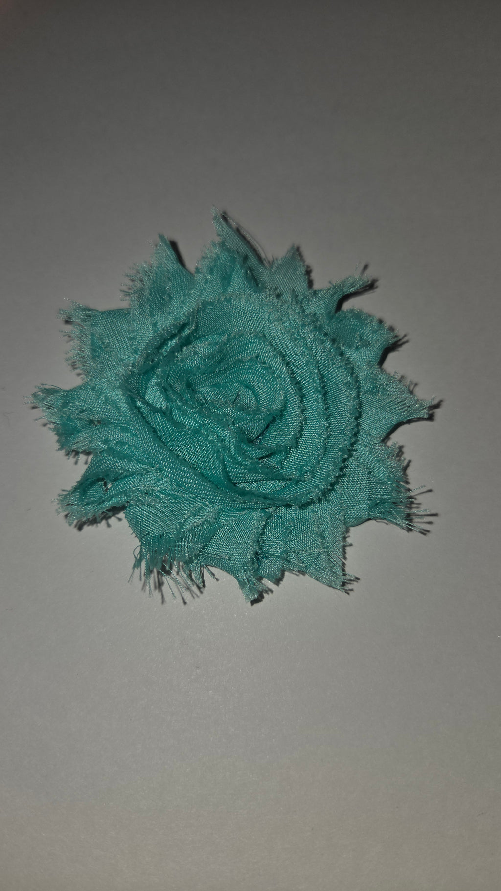 Robin Egg Blue