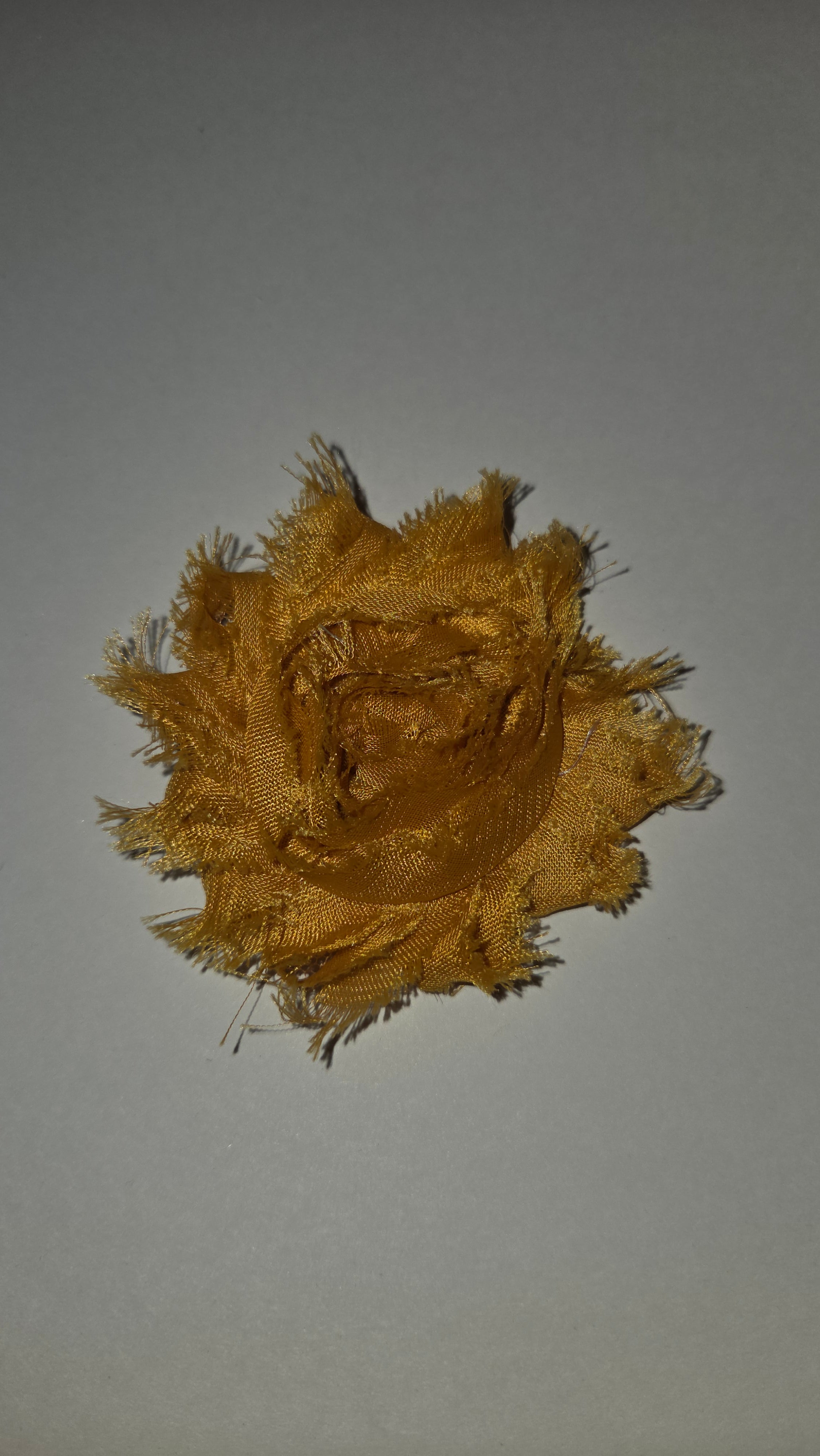 Kaki