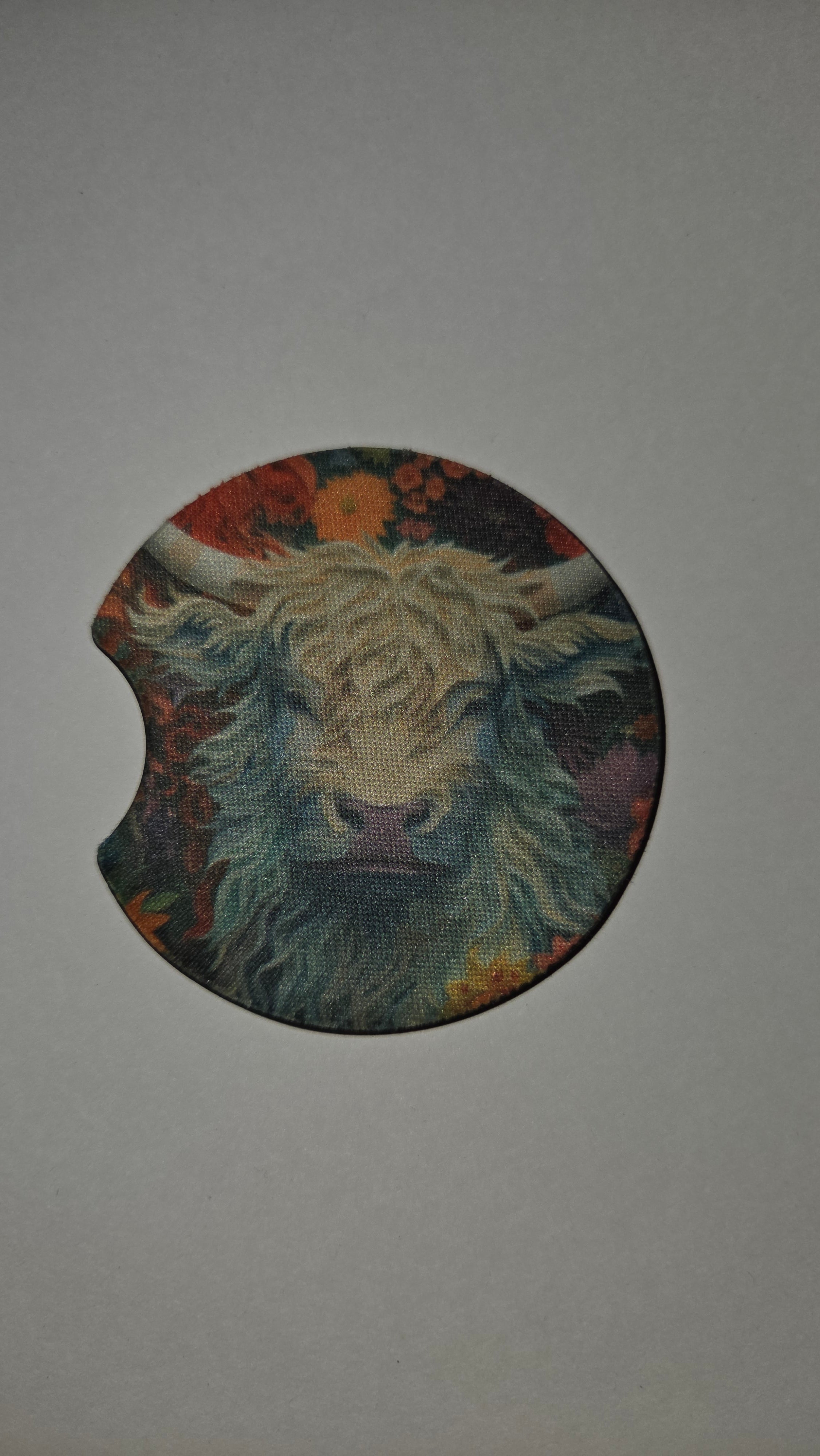 White highland cow